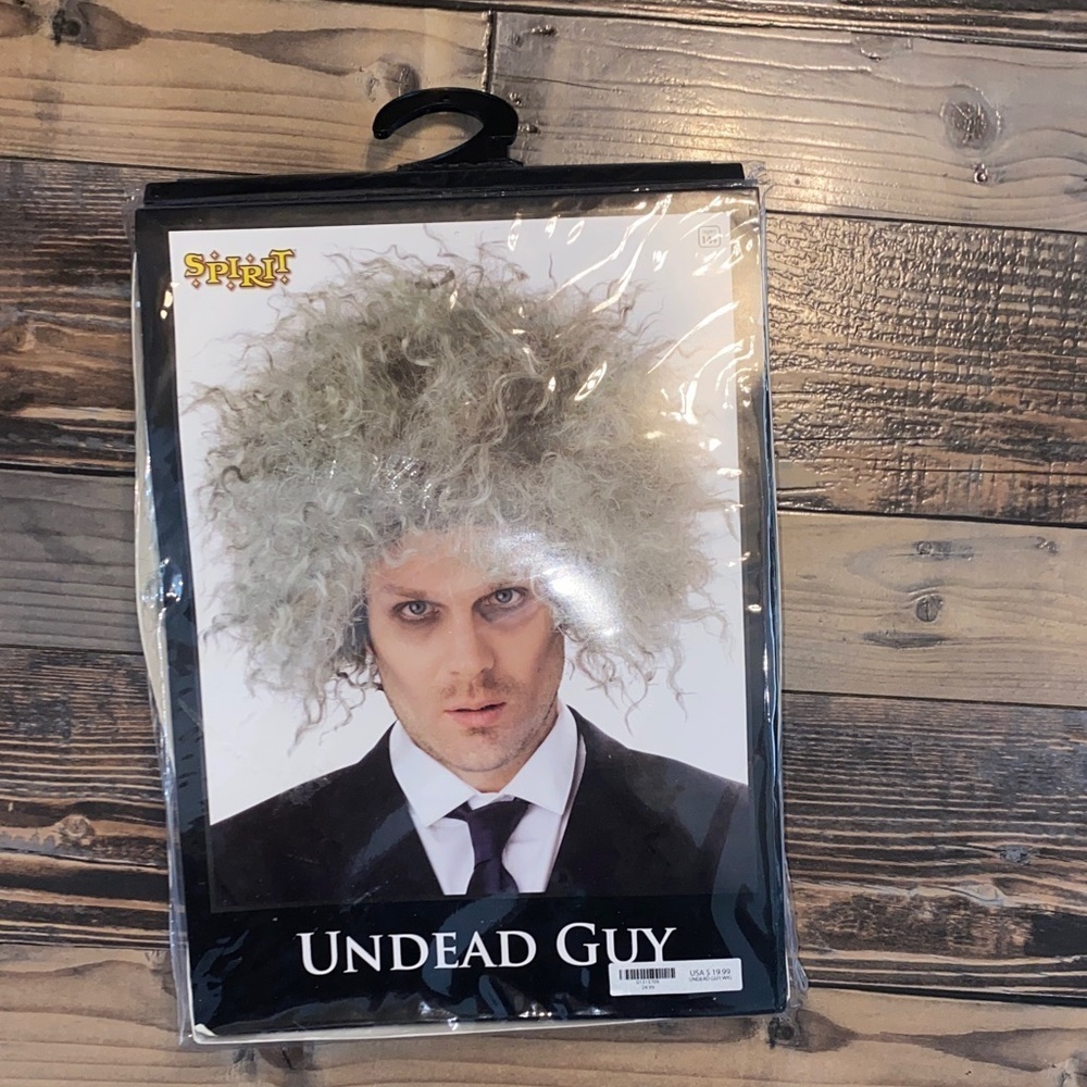 Spirit Undead Guy Wig - Gray